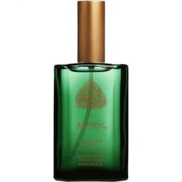 Aspen for Men (Cologne)