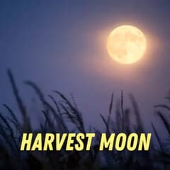 Harvest Moon