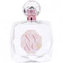 Blush New York