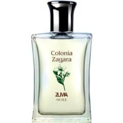 Colonia Zagara