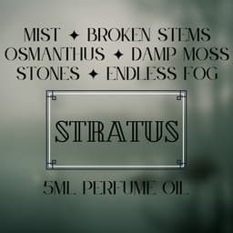 Stratus (Perfume Oil)