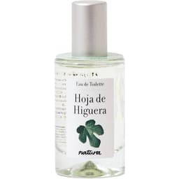 Hoja de Higuera