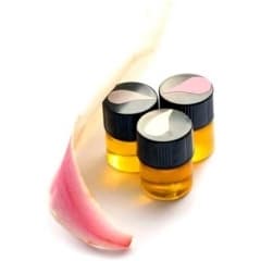 Magnolia Grove III by Phoenix Botanicals perfume bottle