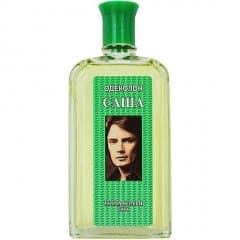 Sasha / Саша by Nóvaya Zaryá / Новая Заря perfume bottle