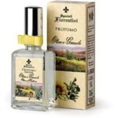 Olivo e Girasole by Speziali Fiorentini perfume bottle