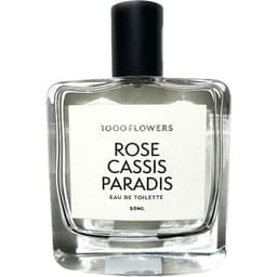 Rose Cassis Paradis