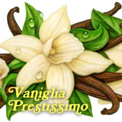 Vaniglia Prestissimo