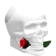 Skulls & Roses for Her