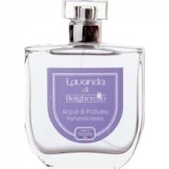 Lavanda di Bolgherello