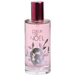 Fleur de Noël 2008