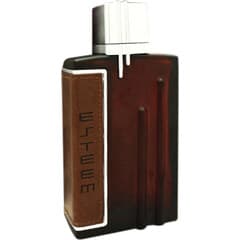Esteem Brown by Parisvally perfume bottle