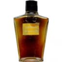 Ambre