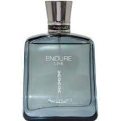 Endure Link