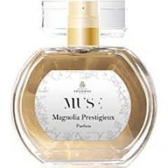 Collection Muse - Magnolia Prestigieux