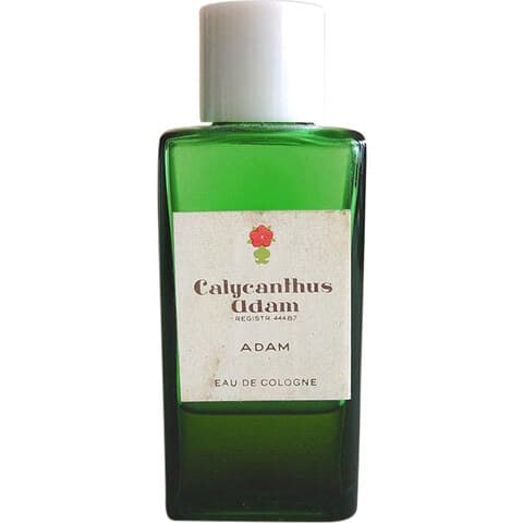 Calycanthus (Eau de Cologne)