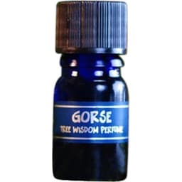 Tree Wisdom Perfume - Gorse