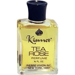 Kismet Tea Rose