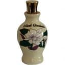 Island Gardenia