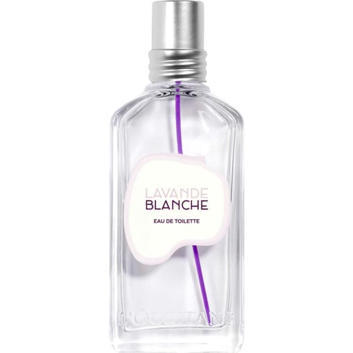 Lavande Blanche