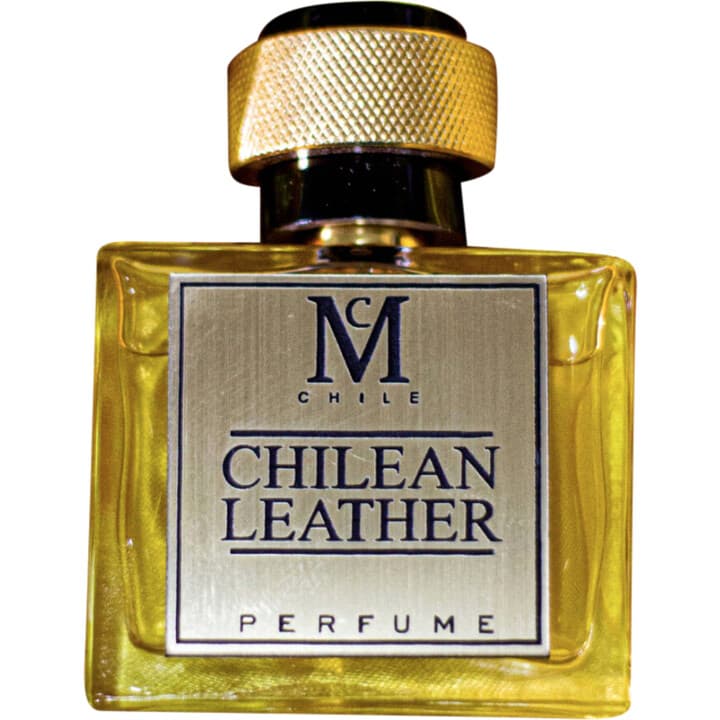 Chilean Leather by Casaniche perfume bottle