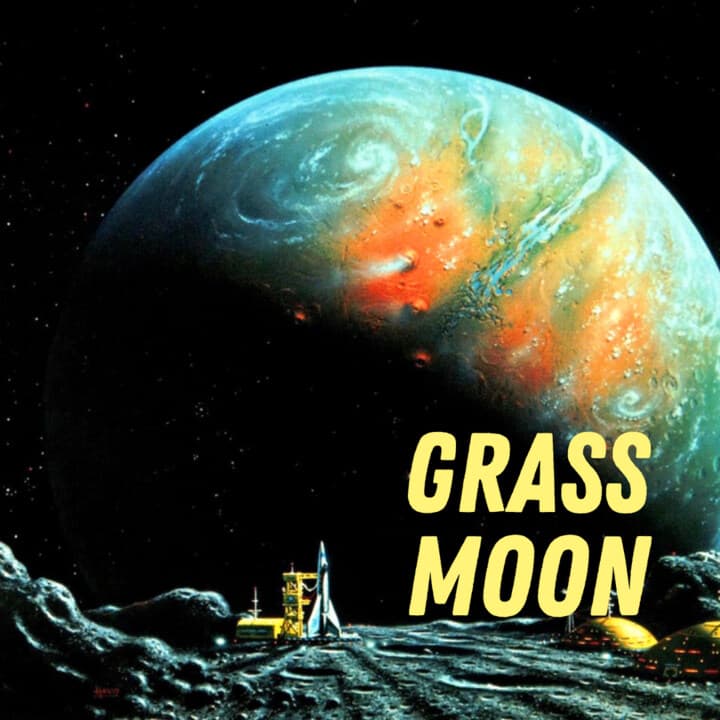 Grass Moon