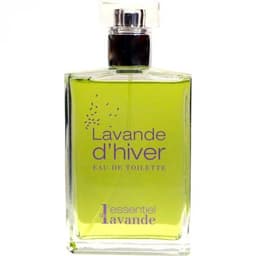 Lavande d'Hiver