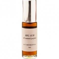 Big Sur (Parfum)