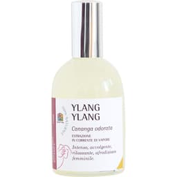 Ylang Ylang