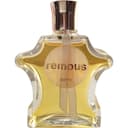 Remous
