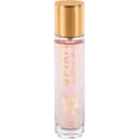 Spirit of Delicate Blush