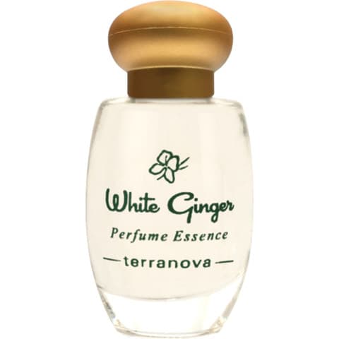 White Ginger (Perfume Essence)