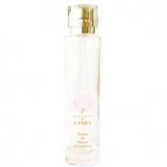 7 Secrets - Happy by Nature by Casha perfume bottle