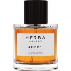 Ambre