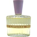 Lavanda