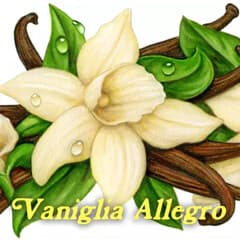 Vaniglia Allegro