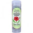 Oriental Poppy