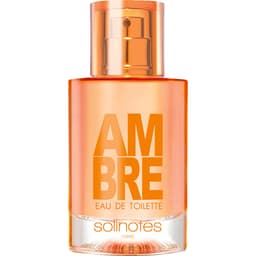 Ambre