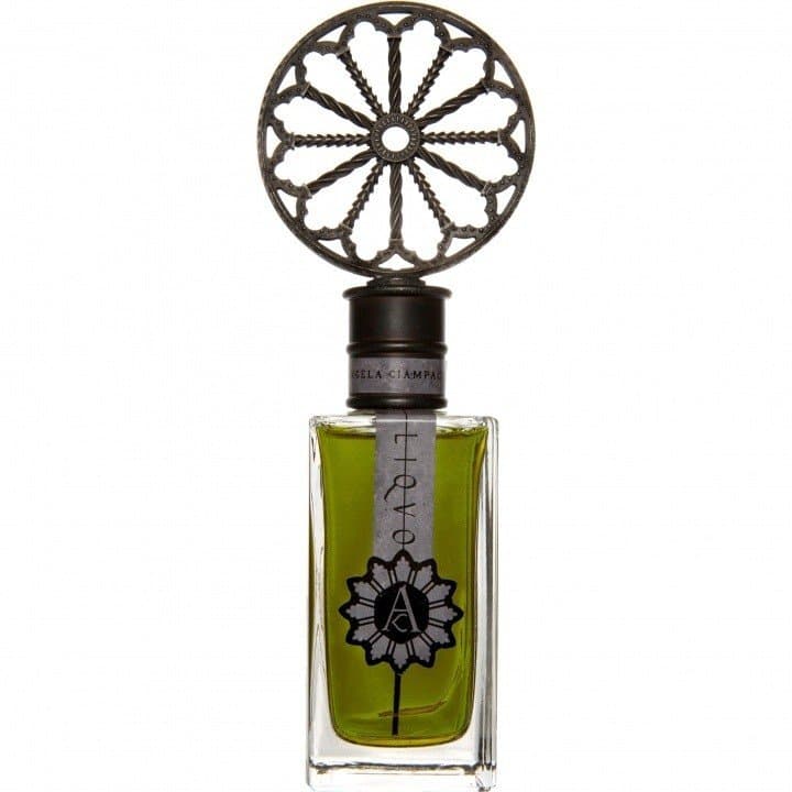 Liquo by Angela Ciampagna perfume bottle