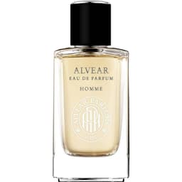 Alvear Homme