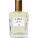 Fleur de Jasmin