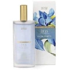 Floral Collection - Iris