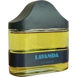 Lavanda