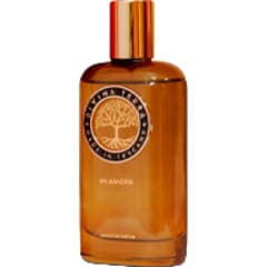 In Amore by DiVina Terra perfume bottle