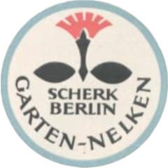 Garten-Nelken