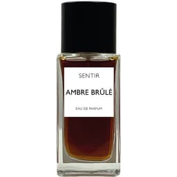 Ambre Brûlé