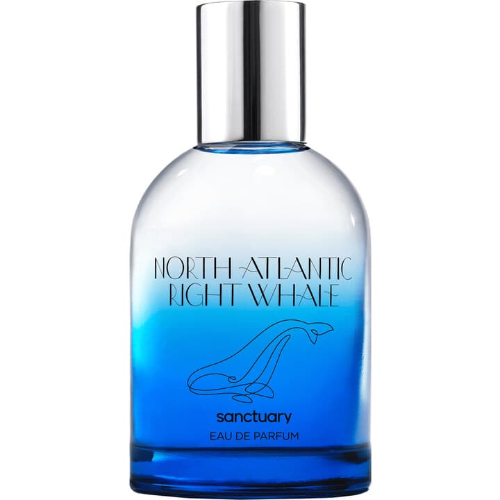 North-Atlantic Right Whale by Sanctuary perfume bottle