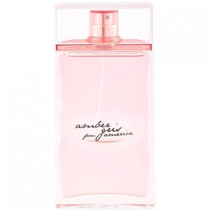 Amber Gris from America by Alviero Martini perfume bottle