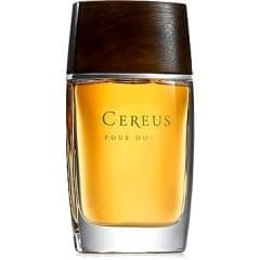 Pour Homme N° 11