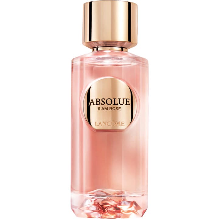 Absolue - 6AM Rose