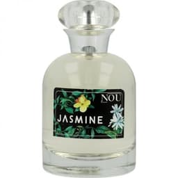 Jasmin / Jasmine